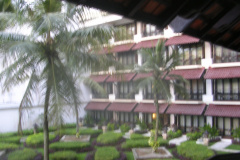 DSCN5701