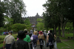DSCN5706