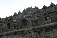 DSCN5713