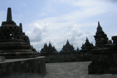 DSCN5715