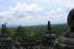 DSCN5719