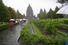 DSCN5725